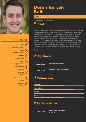 İç Mimar Cv Örnekleri cv indir